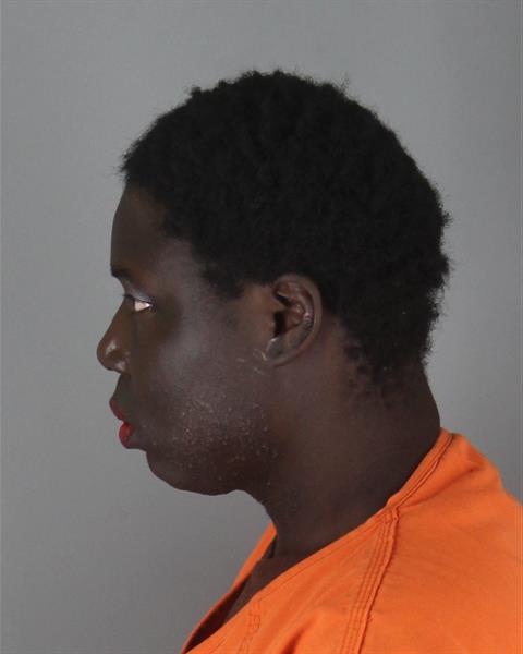Michael William Hopkins, 31: Hennepin County Booking Record — 10/22/2026 — photo 2