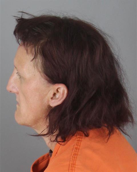 Angela Elaine Daniels, 48: Hennepin County Booking Record — 10/22/2026 — photo 2