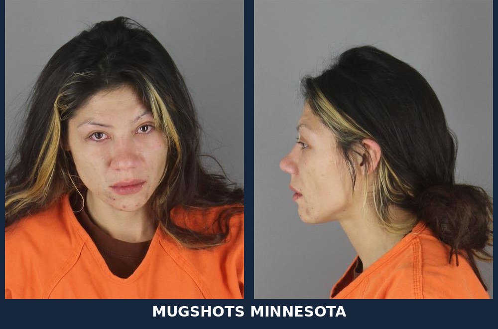 Davine Michaela Wade, 28: Hennepin County Booking Record - 10/25/2026