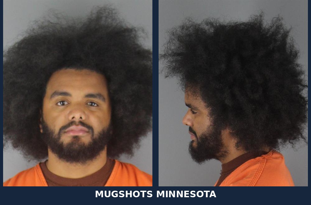Ethan Craig Patterson, 29: Hennepin County Booking Record - 10/25/2026