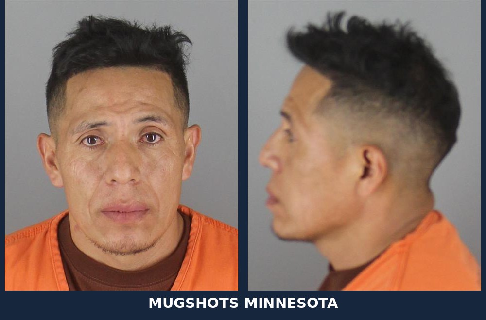 Luis Reinaldo Llango Valvbree, 43: Hennepin County Booking Record - 10/24/2026