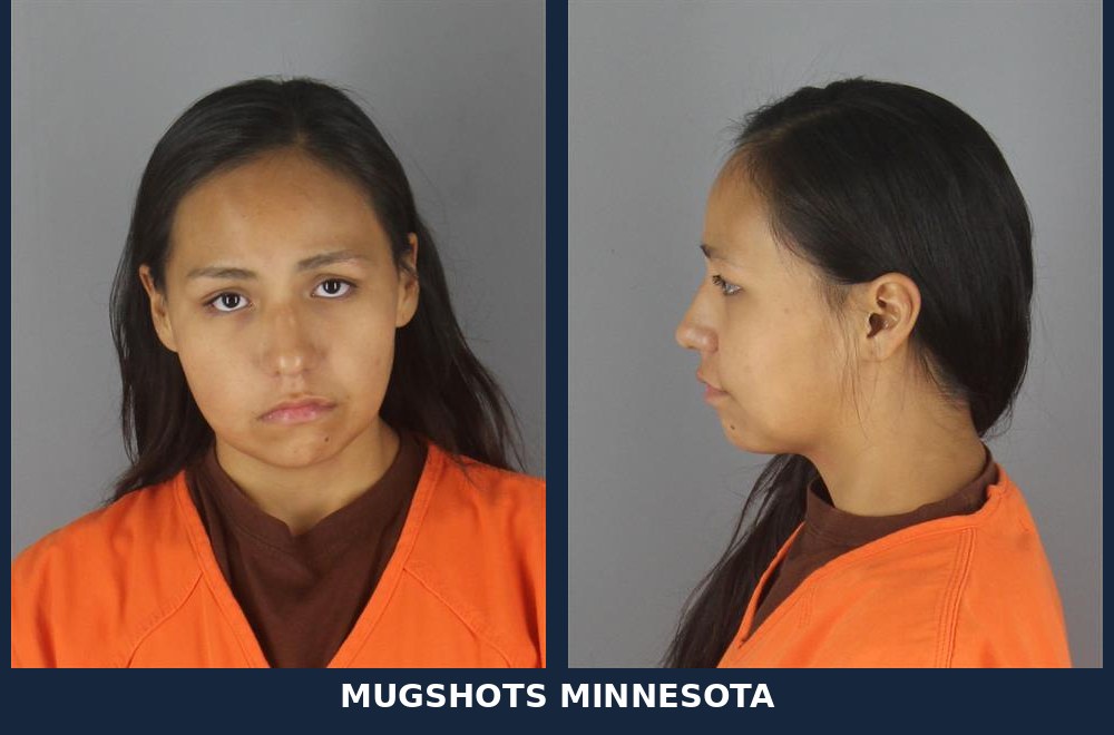 Shaina Olivia Swanson, 23: Hennepin County Booking Record - 10/24/2026