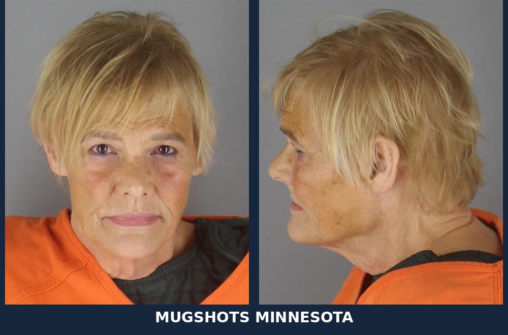 Teresa Jo Torvik, 63: Hennepin County Booking Record - 10/24/2026