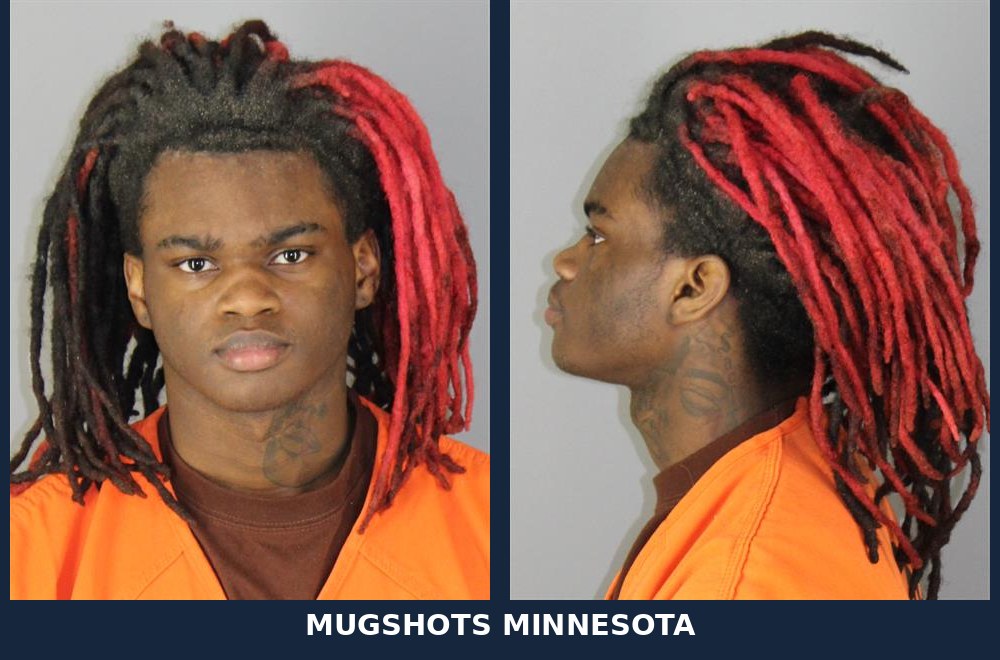 Tymareon Romon Bajoni Brown, 19: Hennepin County Booking Record - 10/28/2026