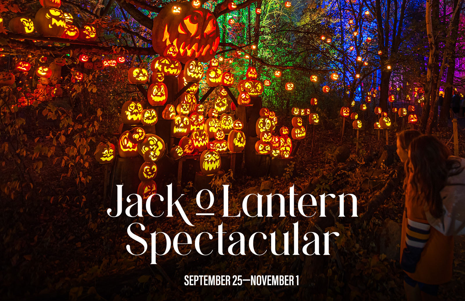 Minnesota Zoo Jack-O-Lantern Spectacular promotional image showing illuminated carved pumpkins. Image: Minnesota Zoo, official 2026 event page.